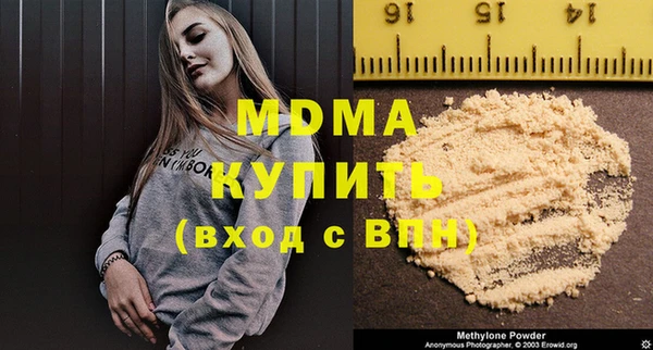индика Каменка