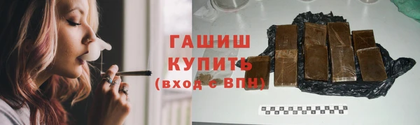 индика Каменка