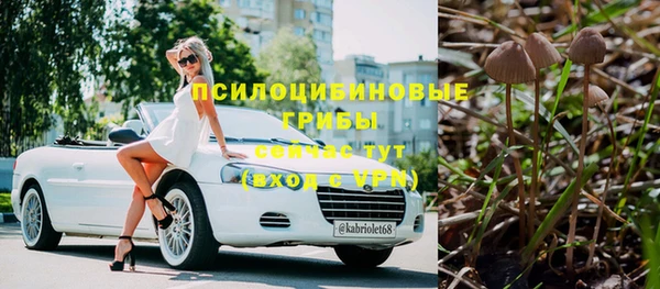 прущие крисы Инта