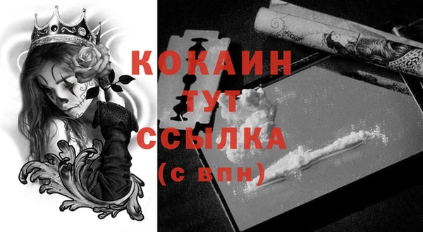 прущие крисы Инта