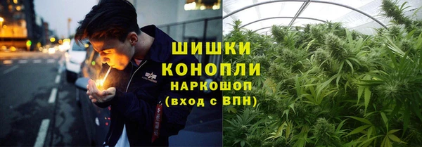 индика Каменка