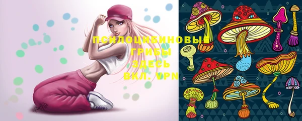 прущие крисы Инта