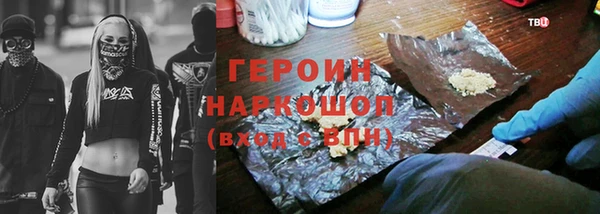 индика Каменка