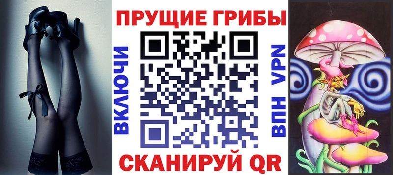 Купить  Себеж  Галлюциногенные грибы Psilocybine cubensis 